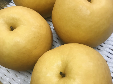 【高木梨特選2.5kg】キメ細か!!甘くてとジューシー!!完熟新高梨(3~4個入)有機肥料育ち(福岡県産)