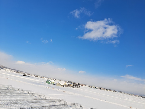 R7年産 北海道鷹栖町産 ななつぼし（精米5kg）
寒暖差が育む旨み【すずき農園】