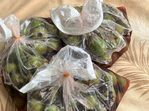 梅ジュースに梅干しにカリカリ梅に最適！　白加賀３㎏