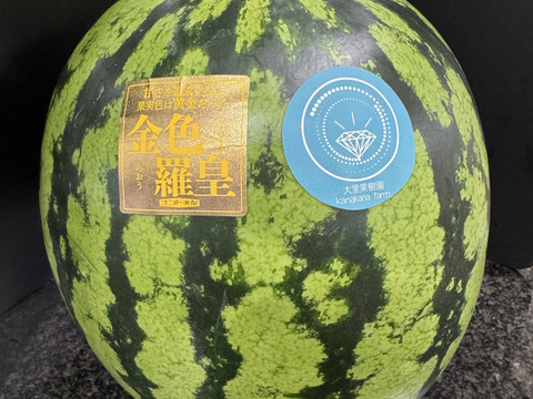 【雅】糖度13-17以上【金色羅皇】『大里果樹園のスイカ』2Ｌ-3Ｌ
