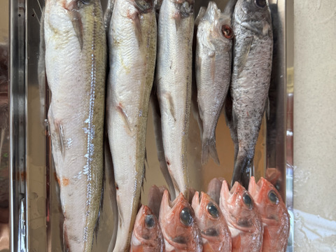 【魚ガチャ】欲張って2袋！何が入っているかわからない［未利用魚］おかず