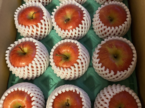 年明け発送🍎【幻の小玉第3弾】スリムレッド シャキッとジューシー 3キロ箱使用 9〜25玉程度　商品ID51599 長野県 信州 安曇野 リンゴ 幻 幻のリンゴ 予約 希少 旬