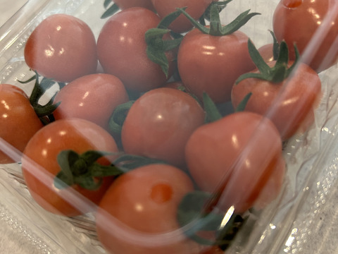 ミニトマトプチぷよ&アイコ食べ比べセット