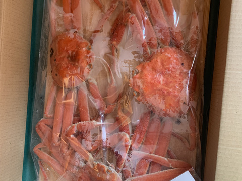 たまらない旨さ✨本ズワイガニ~人気でお得な浜茹で1.5Kgセット~