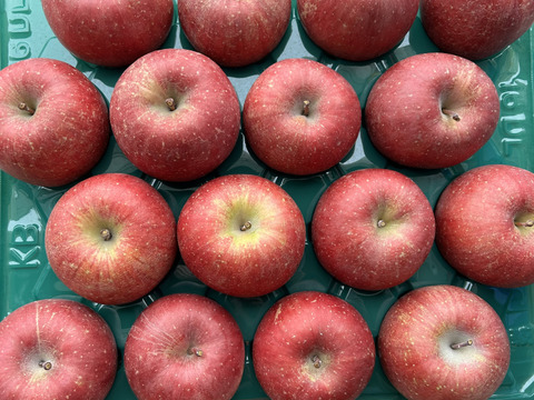 甘さと酸味が絶妙！青森県産サンふじ(訳あり)　約5kg 16個