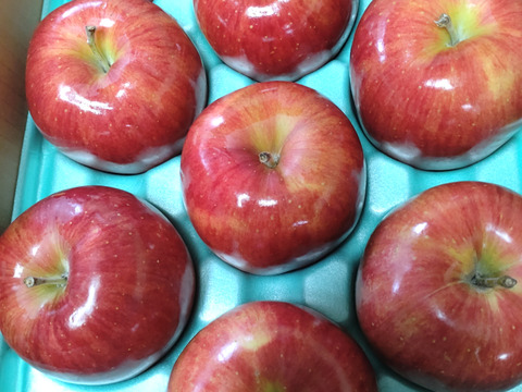 『シナノスイート』ご家庭用秀品約3kg　スマートフレッシュで収穫時の鮮度そのままサックサク！甘くてジューシー！