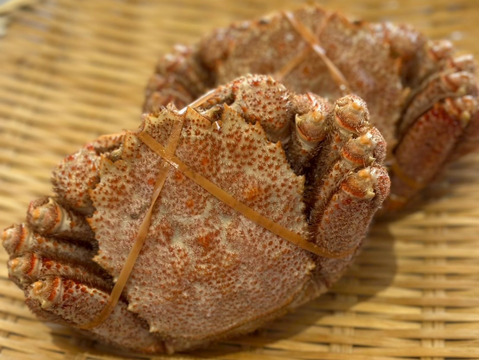 【冬ギフト】数量限定！！一雪の冬ギフト①　のし対応あり！