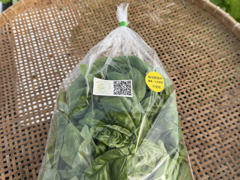 4〜5種類入り🌱UCHIPONIFARM 🐟丸かじりおすすめ‼️サラダセット🥗