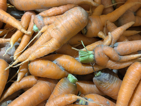 【自然栽培】訳あり時なしにんじん2.5kg