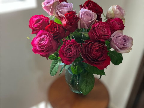 【赤パープル系15本】2月限定☆厳選バラ☆贈り物にもおすすめ（ご自宅用簡易包装/50cm）