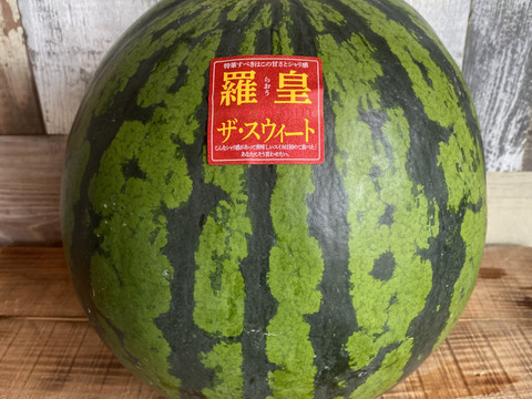 羅皇ザ・スウィート 1玉 4Lサイズ 9kg〜10kg 【圃場栽培期間中