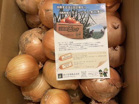 【数量限定特別価格】【数量限定：大家族・飲食店応援企画】淡路島産玉ねぎ訳あり10ｋｇ