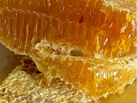 【美味しさに感動】日本蜜蜂の2年熟成生ハチミツ1200g + 蜂蜜 100g小瓶おまけ付き