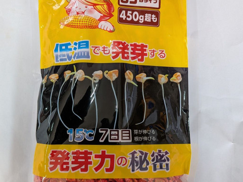 【ミルキーシュガー】5本入り 2025年発売の新商品