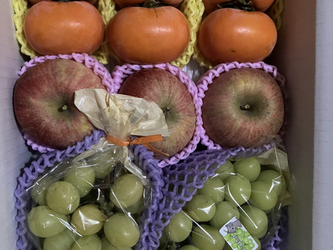 お買い得!まるせい果樹園の秋の味覚セット　フルーツボックス　３ｋ箱　oｍa1