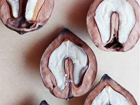 【鬼くるみ】新潟県産 和クルミ 割り胡桃 農薬および化学肥料栽培期間中不使用 除草剤不使用 希少在来種 900g