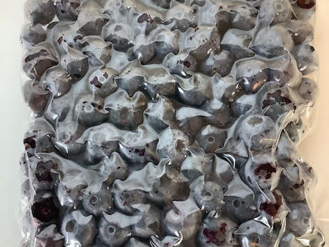 少しだけ訳あり特価！【滝波様専用冷凍ブルーベリー4㎏】