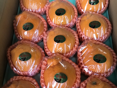 Noriko 様専用‼️今年もめちゃ大人気❗️不知火デコ柑１１玉