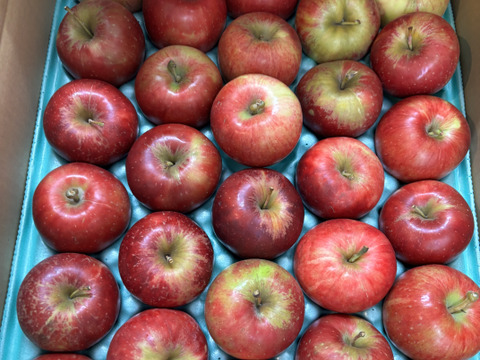 【在庫限り・残りわずか!!】人気の紅玉!!家庭用🍎約4.5Kg　そのままお召し上がり可能。スイーツ、お菓子　青森県産　りんご　リンゴ　林檎　せなり