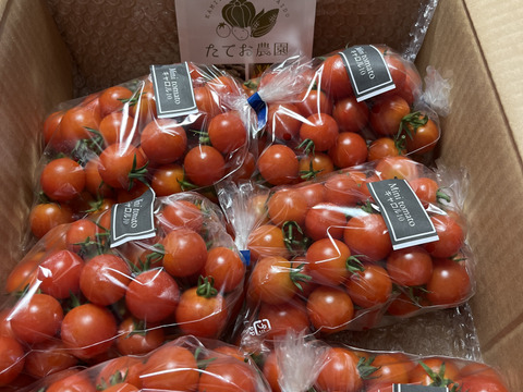 【たっぷり3kg】特別栽培&JGAP認証農場の『ふらの産ミニトマト』3kg