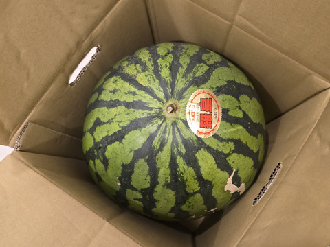 すいか　大玉　7㌔-9㌔　本州最北端　まさかりすいか