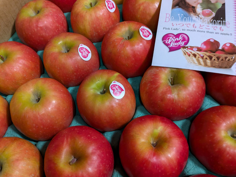 年内予約は今日まで🍎🏃‍♀️【ヒルナンデスでました！】ピンクレディ®︎ 5キロ訳あり品 加工用 長野県 信州 安曇野 リンゴ 幻 幻のリンゴ 予約 希少 旬 ID36611 ピンクレディー