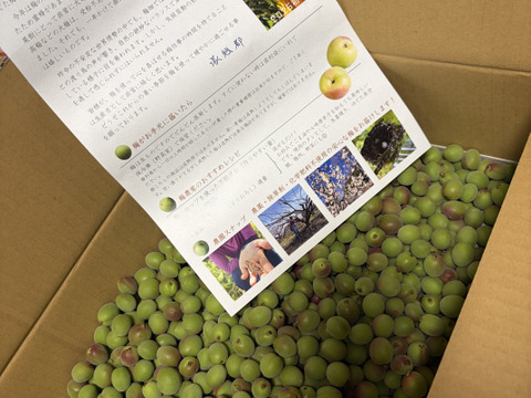 【甲州小梅】自然栽培 農薬・化学肥料不使用の青梅！サイズ混合3kg