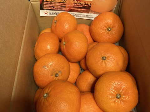 【希少柑橘】甘平家庭用5kg