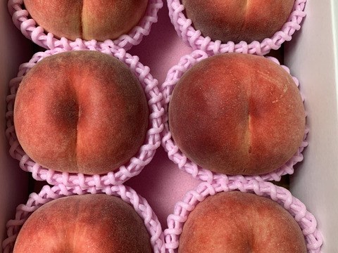 【限定お試し価格‼︎】品種お任せ‼︎6〜8玉‼︎あかつき、川中島、約1.5kg〜