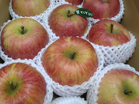 【冬ギフト】 🍎レビュー数1700件突破！！《家庭用》青森完熟葉とらずふじ８〜１２玉(約３kg)🍎ID119812