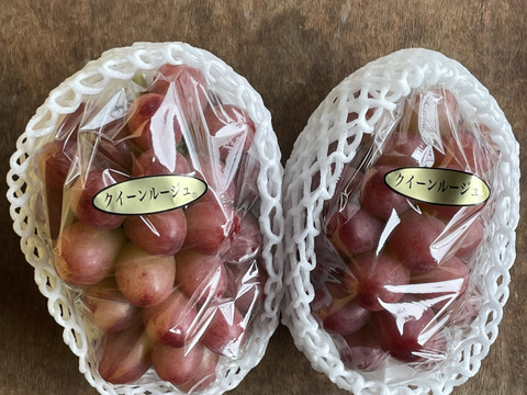 北信州産！家庭用クイーンルージュ総量1kg（2房）：長野県産のクイーン