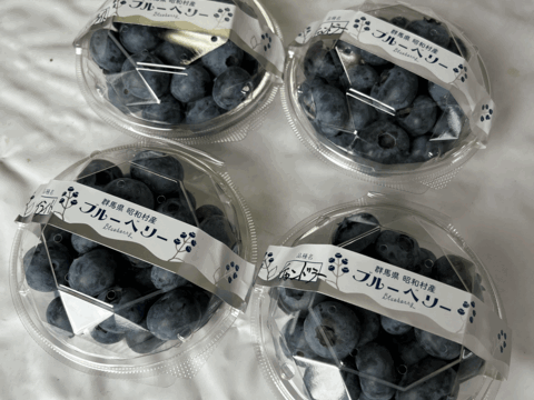 ◉群馬県産◉品種別◉フレッシュ ブルーベリー◉100g×4パック◉農薬不使用