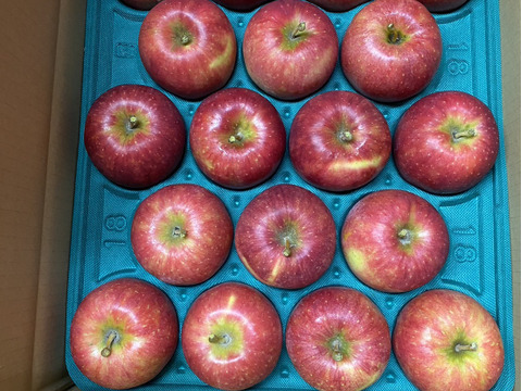 特別栽培りんご『千秋』A品・5㎏