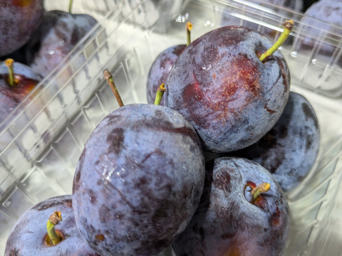 完熟プルーン【サマーキュート】約400g×4パック