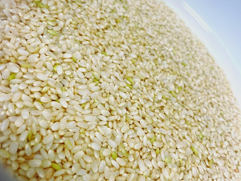 農薬・除草剤・化学肥料不使用 福岡県産「夢つくし」令和8年産 玄米