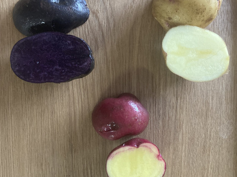 赤い皮と甘さが自慢！【アンデスレッド】3kg