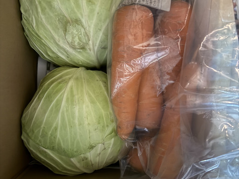 【期間限定】【旬】雪中キャベツ1～3玉（約2～3キロ）＋雪中人参　※段ボール発送 ✨信州の環境にやさしい農産物認証