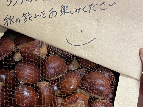 1kg鬼皮も渋皮も楽に剥ける！調理が簡単なぽろたん　那須栗