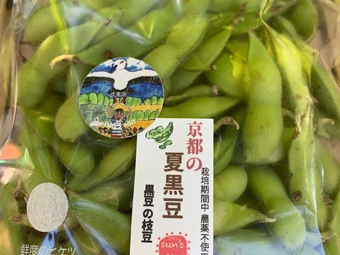 京都　夏黒豆えだ豆　自然栽培枝豆　農薬・化学肥料・除草剤不使用　１K（250g×4パック)