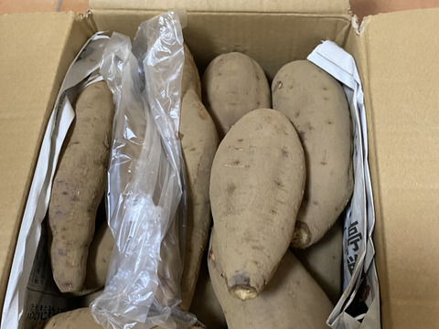完売間近‼️栗のようなホクホク食感！千葉県香取市産さつまいも【紅あずま】2.8kg S・M