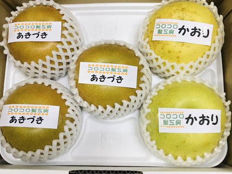 【旬の梨食べ比べ‼️2品種】何が届くかお楽しみ😋贈答用約2.2kg✨️豊水・あきづき・かおり・あきあかり・二十世紀・南水・にっこり・新高・王秋・新興・愛宕の中から2品種詰め合わせ‼️
