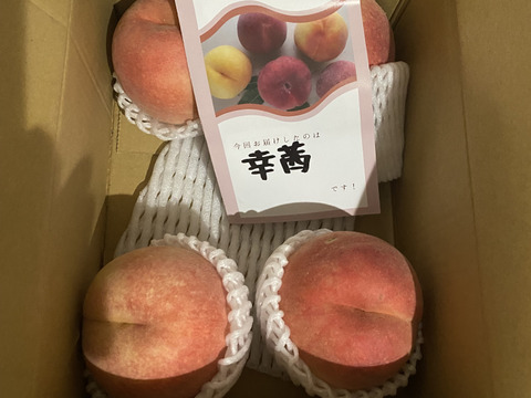 運命の出会い⁉️【67品種の桃を栽培】品種は何が届くかお楽しみ1.5㎏（3-6玉）9月発送