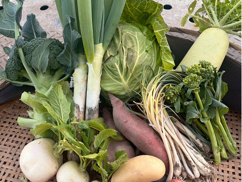 期間限定【農薬・化学肥料不使用】冬の旬野菜セット５～８品種