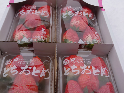 いちご とちおとめ グランデ（形ランダム）ビッグサイズ品