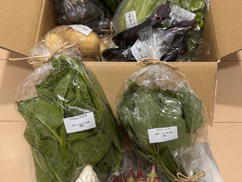 自然栽培野菜一人暮らしの方にオススメセット【7〜9 種類】