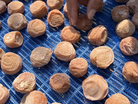 特大南高梅(4L以上) 切れ梅