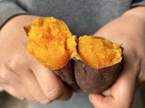 熊本県産オーガニックさつまいも！ハロウィンスイート🎃【オレンジ色の果実に上品な甘さ】（3kg）抗酸化作用のβカロテンが豊富！