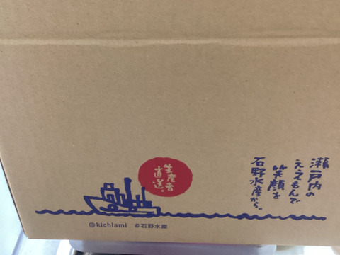 野菜箱80サイズにキャベツ１ブロッコリ２とネギ2kgくらい