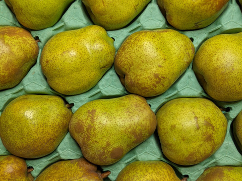 ラ・フランス食べ頃5kg