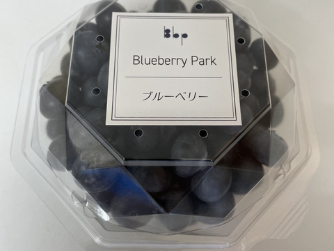 ♢✦国産早生✦♢樹上完熟〜 今が旬!大粒ブルーベリー1kg *農薬不使用
